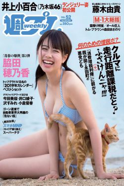 掠食城市